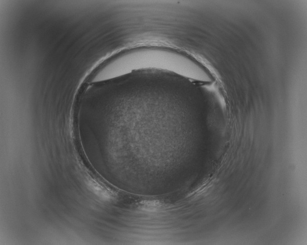 X0000082960391200702152311