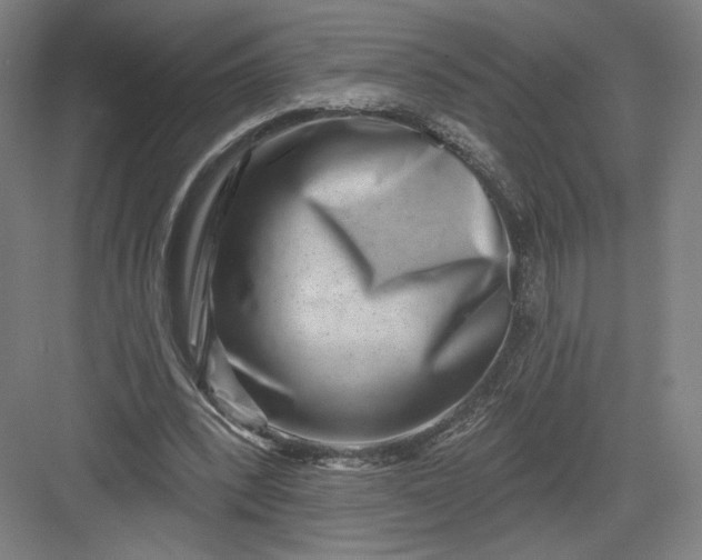 X0000082960392200702152311