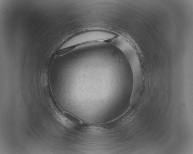 X0000082960393200702152311