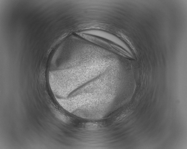 X0000082960394200702152311