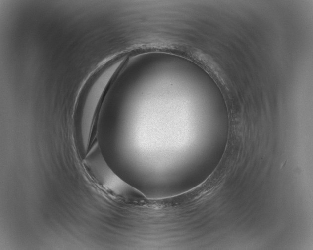 X0000082960395200702152311