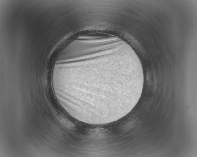 X0000082960396200702152311