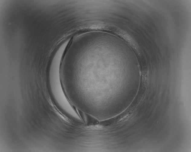 X0000082960397200702152311