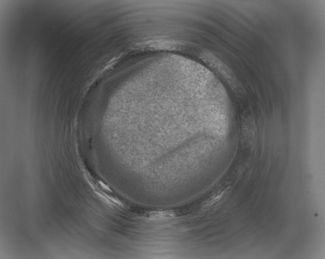 X0000082960398200702152311