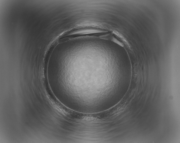 X0000082960399200702152311