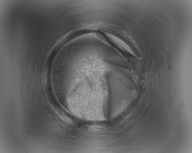 X0000082960400200702152311