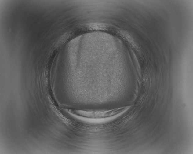 X0000082960402200702152311