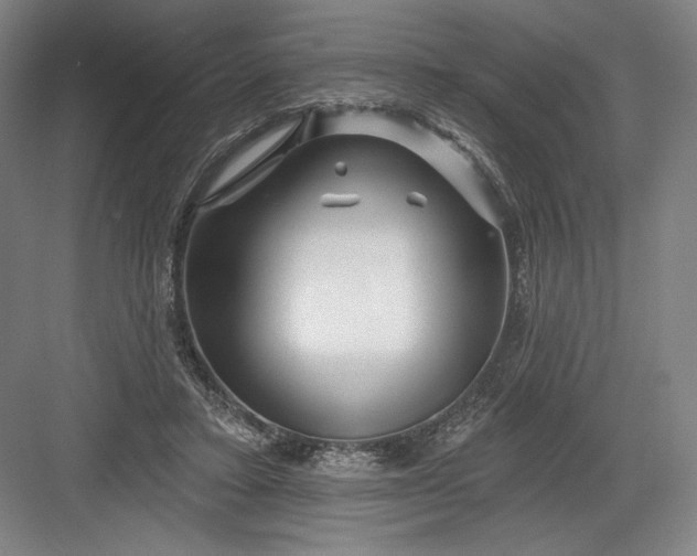 X0000082960403200702152311