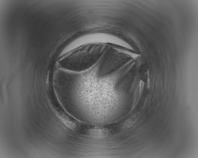 X0000082960404200702152311