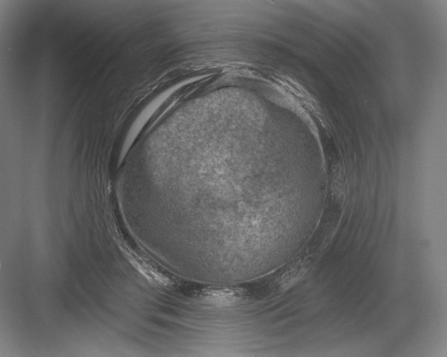 X0000082960405200702152311