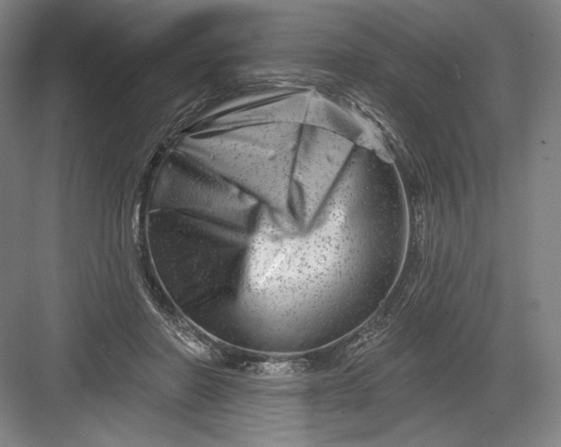 X0000082960406200702152311