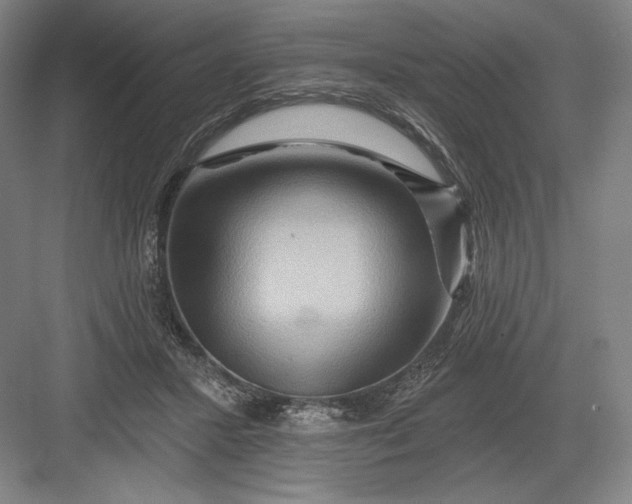 X0000082960407200702152311