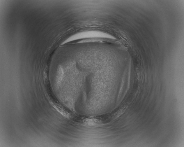 X0000082960408200702152311