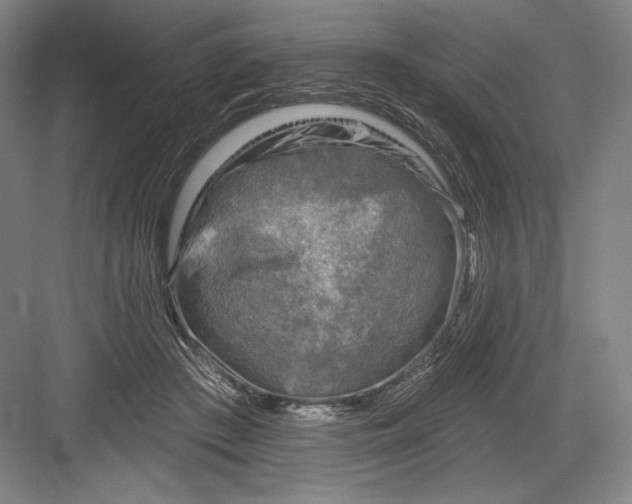 X0000082960409200702152311