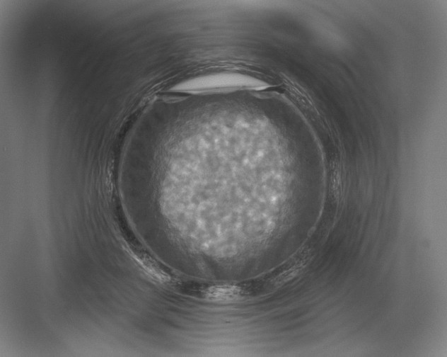 X0000082960410200702152311