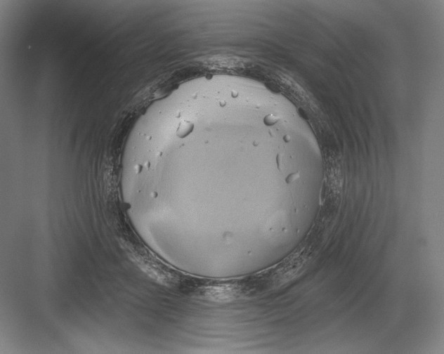 X0000082960411200702152311