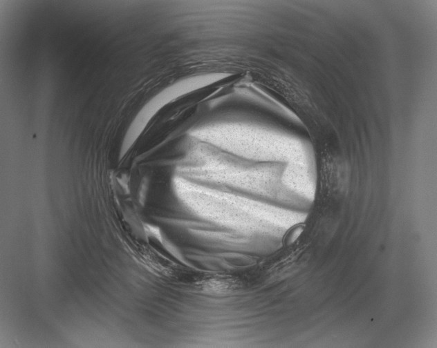 X0000082960412200702152311