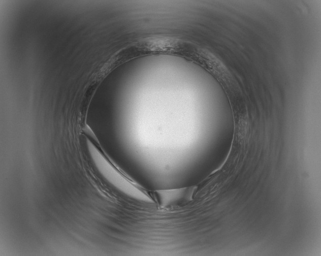 X0000082960413200702152311