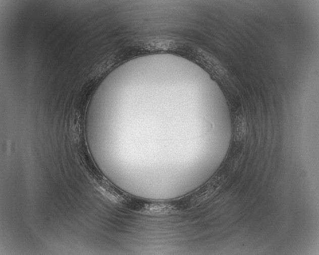 X0000082960414200702152311