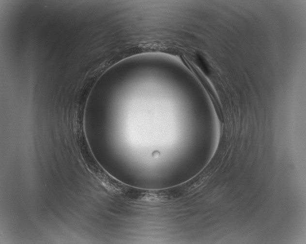 X0000082960416200702152311