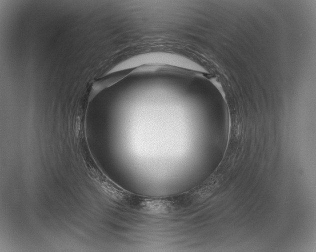 X0000082960417200702152311