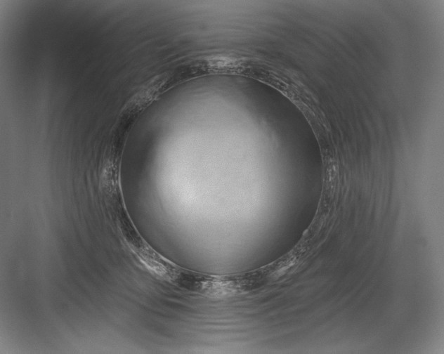 X0000082960419200702152311