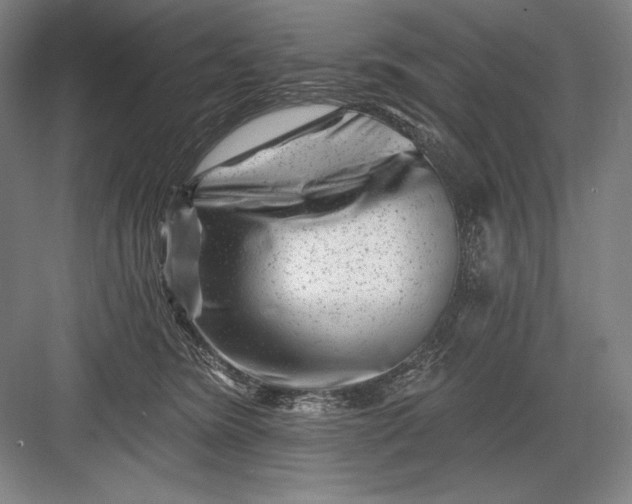 X0000082960420200702152311