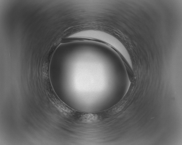 X0000082960421200702152311