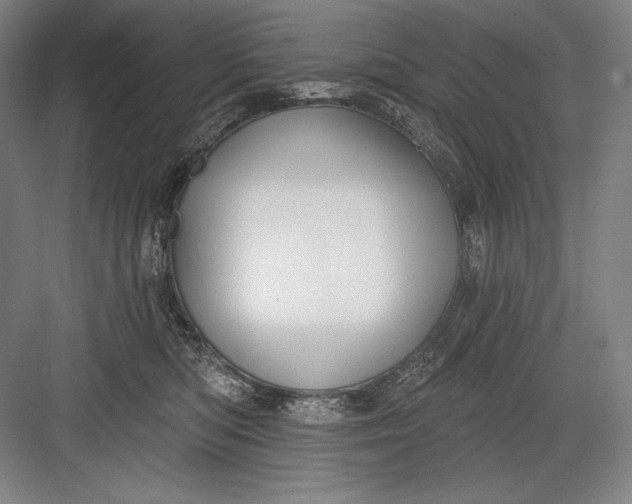 X0000082960422200702152311