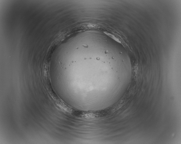 X0000082960423200702152311