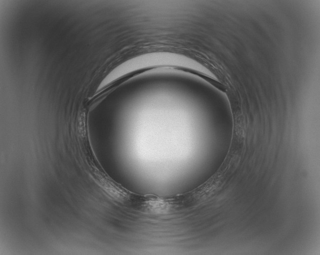 X0000082960425200702152311