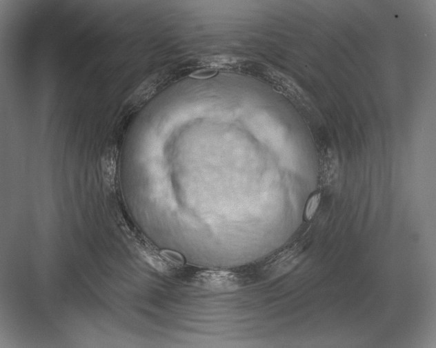 X0000082960427200702152311