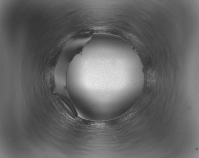 X0000082960428200702152311