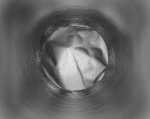 X0000082960430200702152311