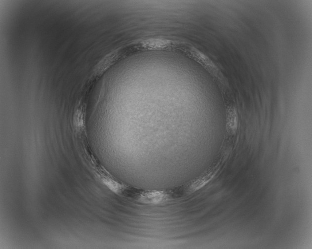 X0000082960431200702152311