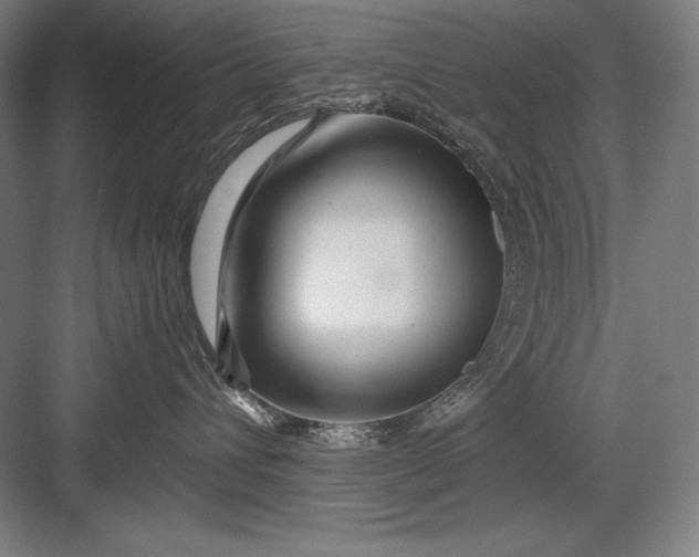 X0000082960432200702152311