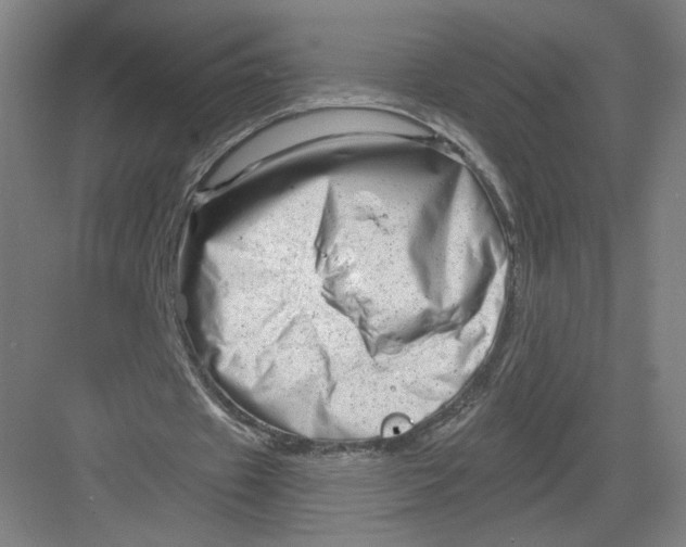 X0000082960433200702152310