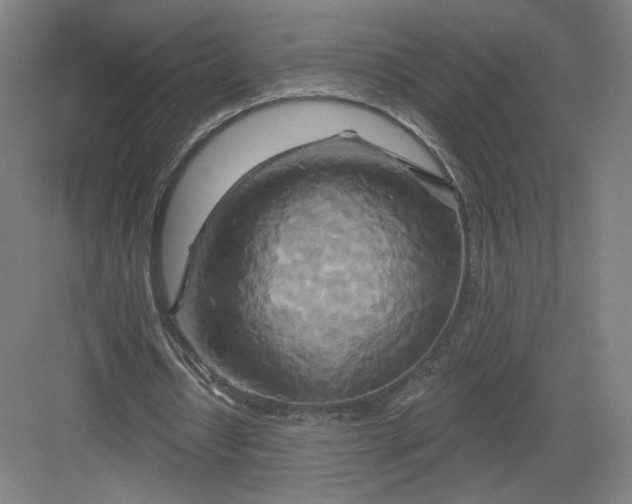 X0000082960434200702152310