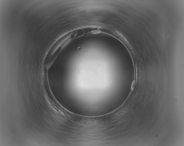 X0000082960435200702152310