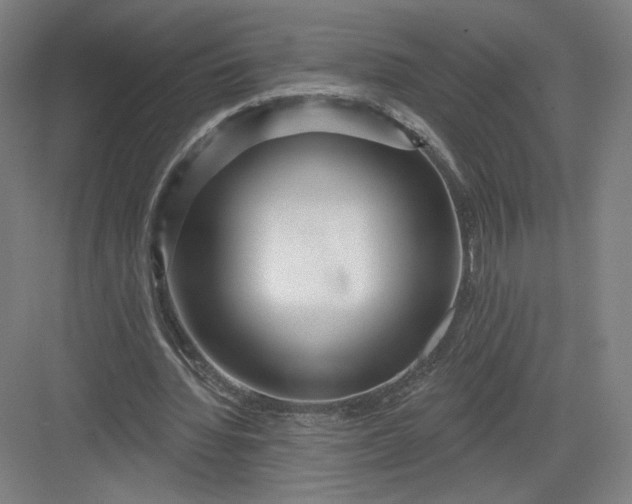 X0000082960436200702152310