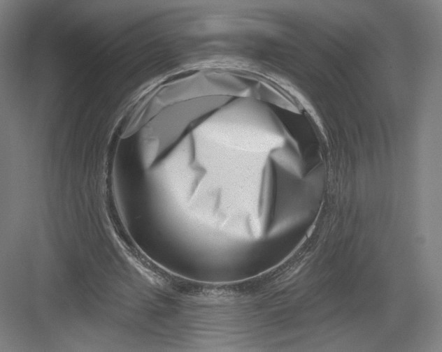 X0000082960437200702152310