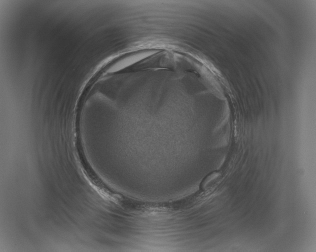 X0000082960438200702152310