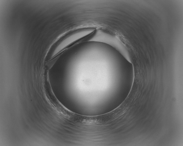 X0000082960440200702152310