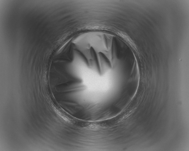 X0000082960441200702152310