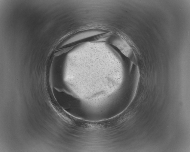 X0000082960442200702152310