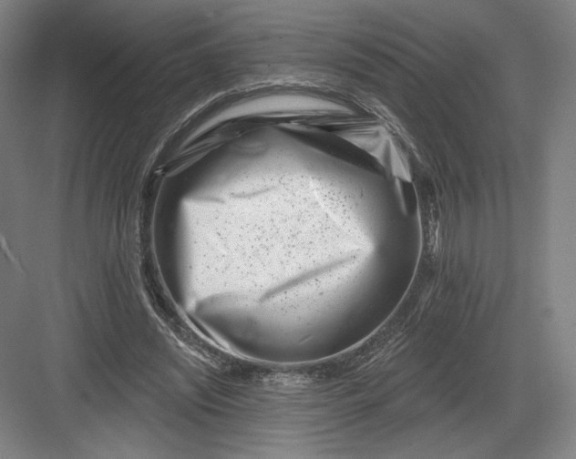 X0000082960444200702152310