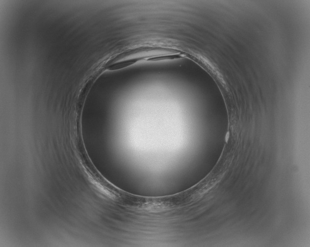 X0000082960445200702152310