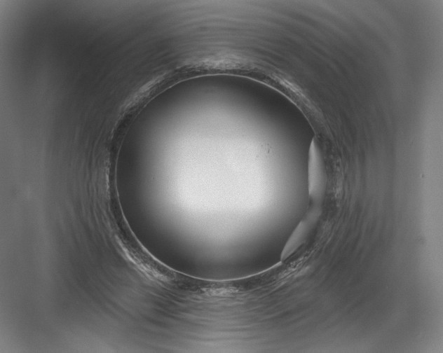 X0000082960446200702152310