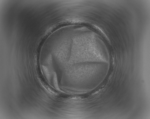 X0000082960447200702152310