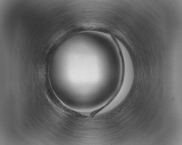 X0000082960448200702152310